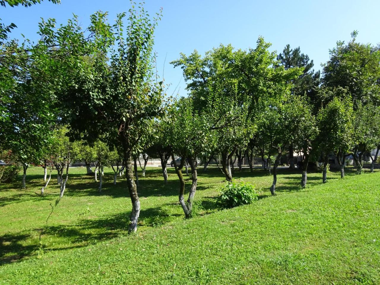 Apartment Una Laguna Bihac Exterior photo